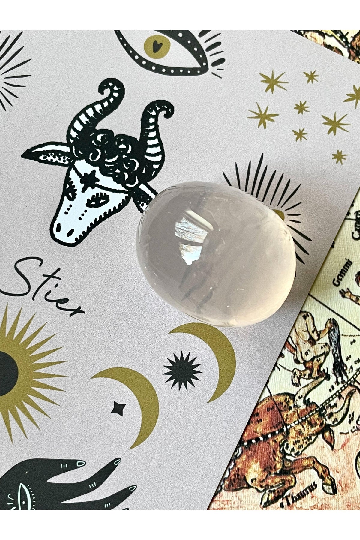 Taurus
