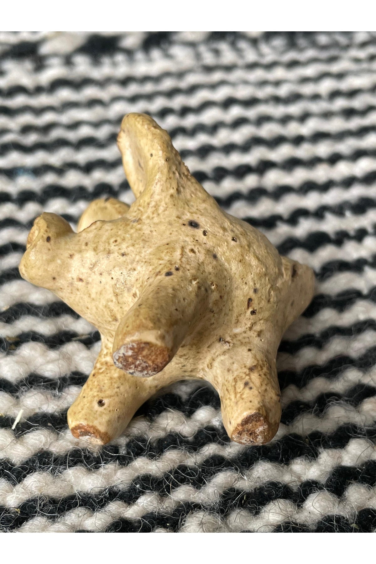 Chanchito — Three-Legged Lucky Pig